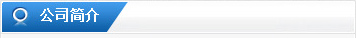 公司简介